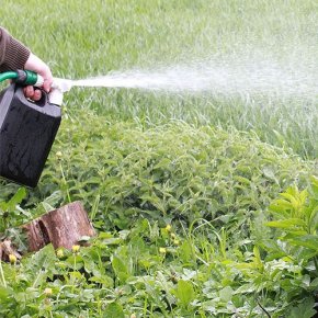 Ejektordunk 2,5L ejektorspridare spridare gräsmatta