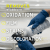Collinite no.920 Fiberglass Boat Cleaner